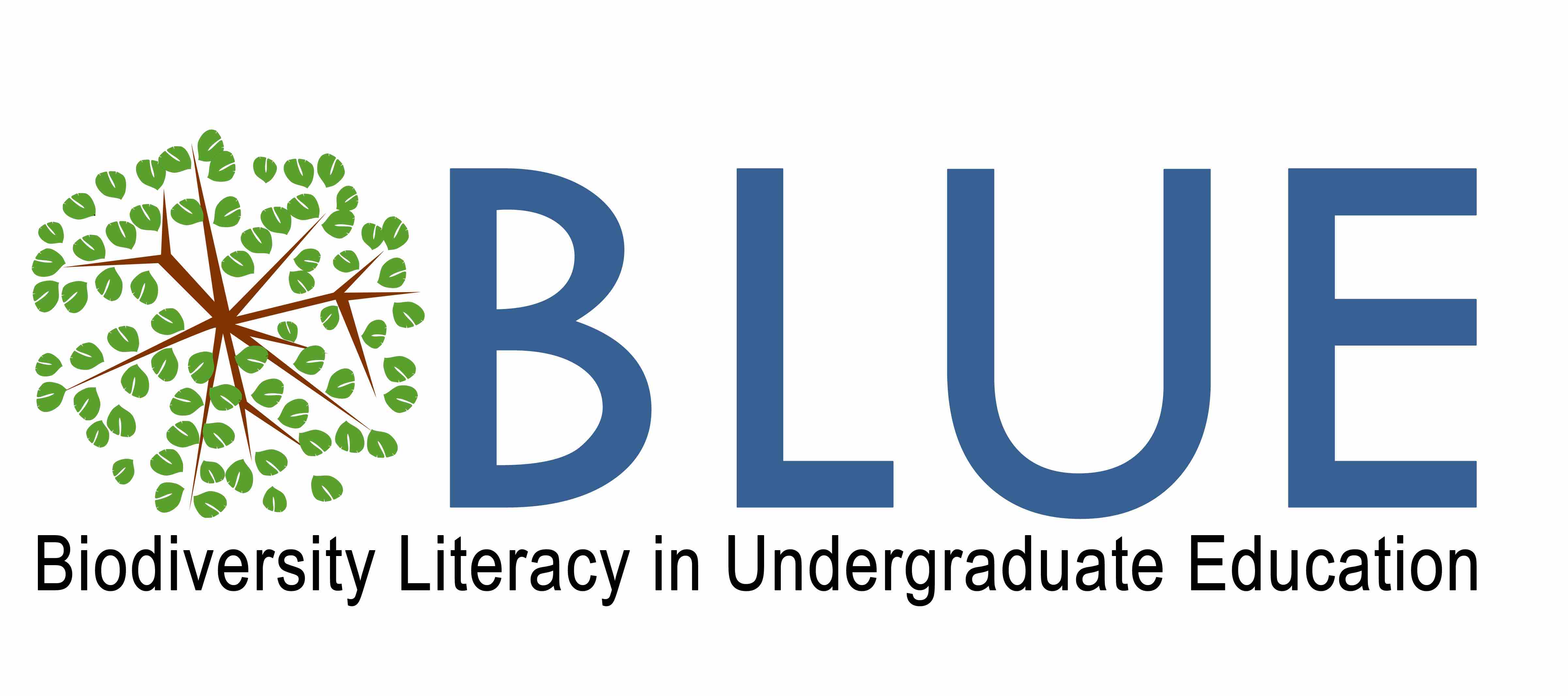 Fall 2019 BLUE FMN Logo